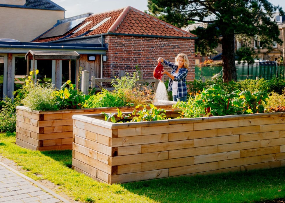 Image of Raised vegetable patch made of wood with brick border