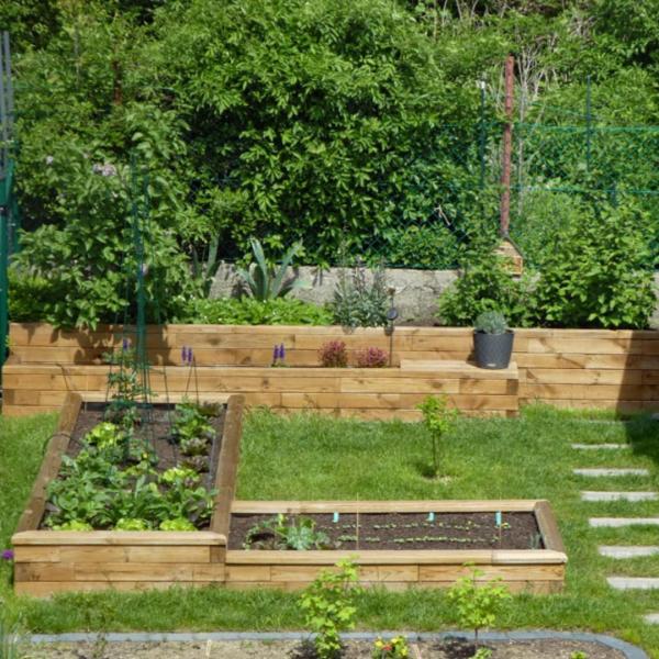 Michael's vegetable garden