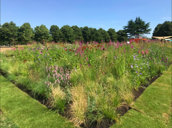 RHS Hampton Court Flower Show