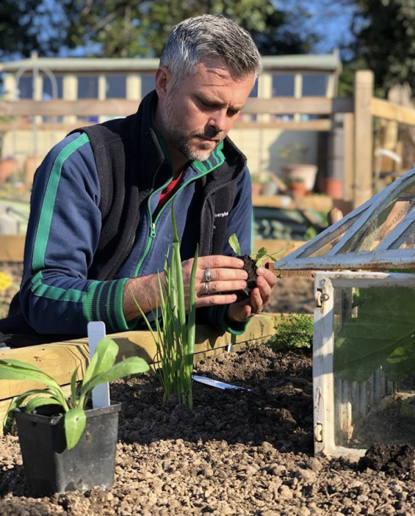 Rob's Allotment - Crab apple trees and perennial vegetables