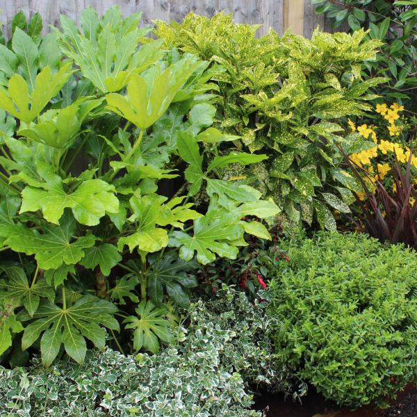 WIN one of three Garden on a Roll autumn borders