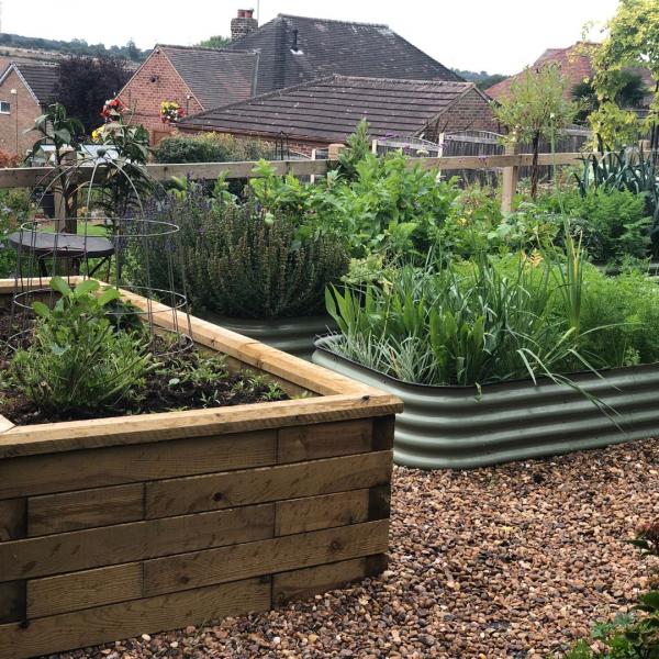 Metal vs Wooden Raised Beds