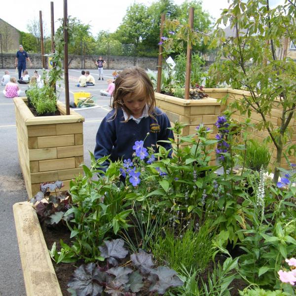 Annfield Plain Junior school