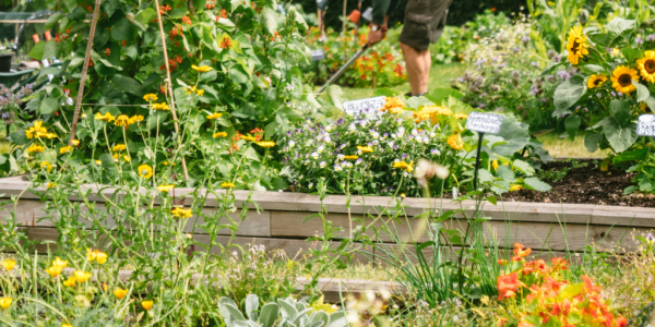 National Gardening Week Q&A