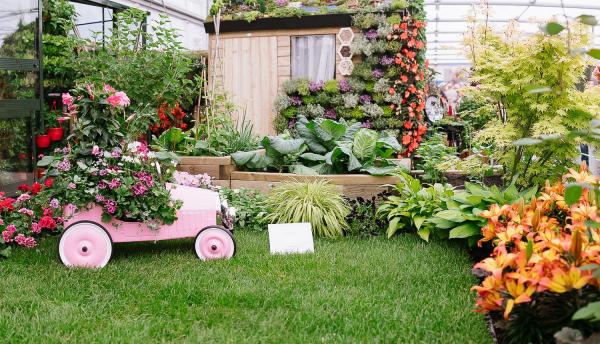 The Best of the RHS Chelsea Flower Show 2017