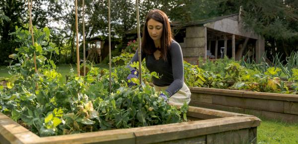 Protecting crops over winter