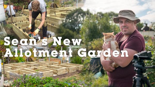 Seans Allotment Garden