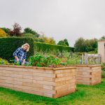 What is the best material for making a raised bed?