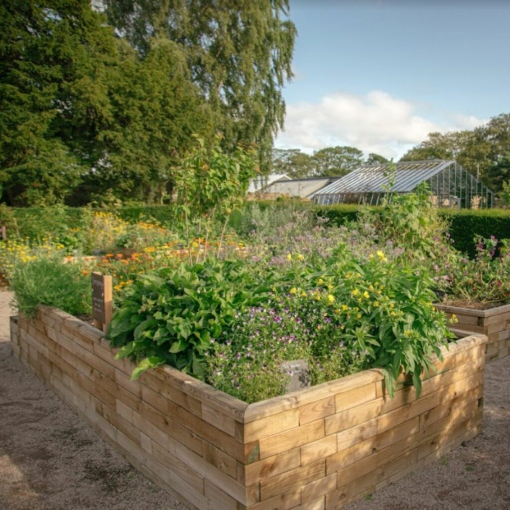 Large vegetable garden