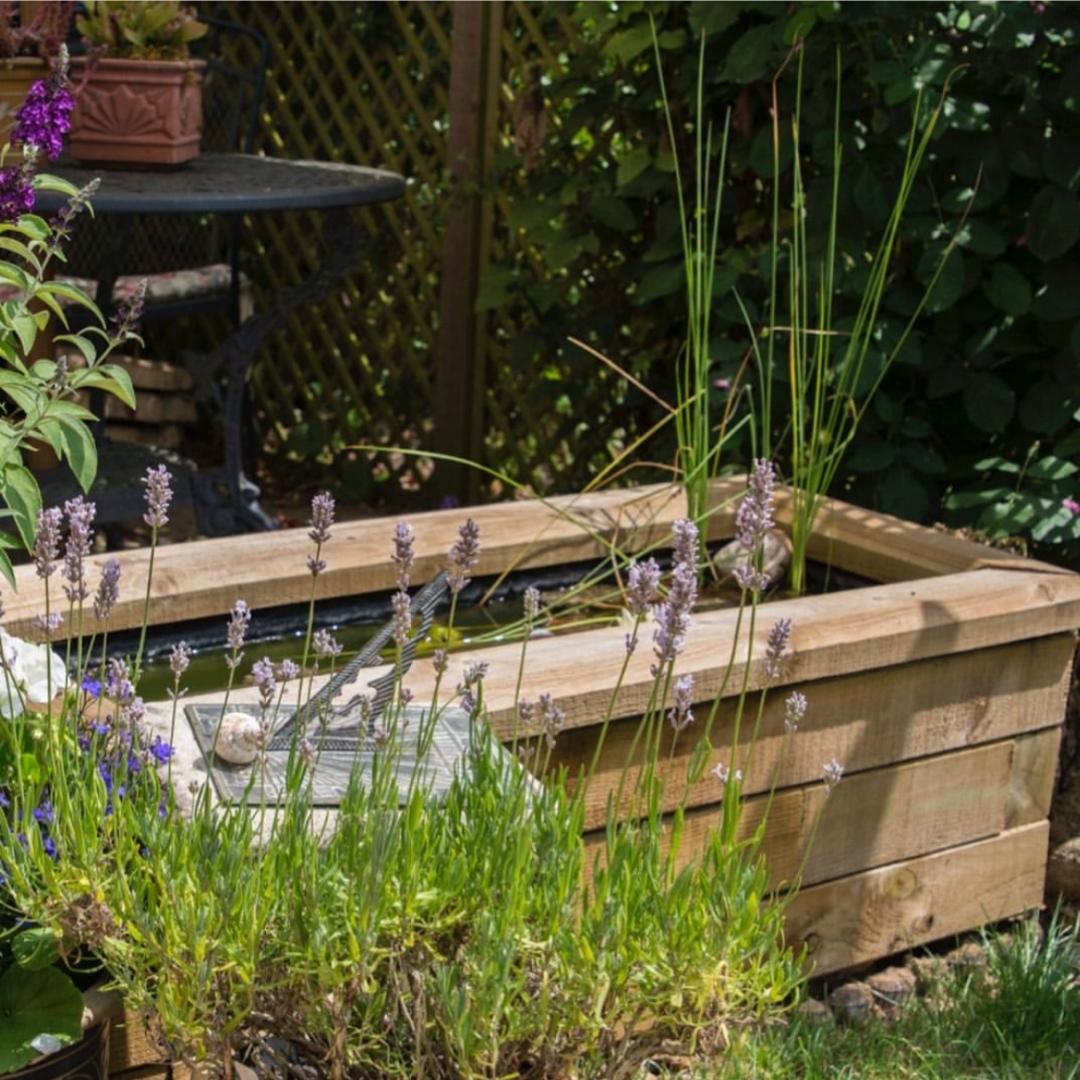 Raised pond ideas for your garden | WoodBlocX